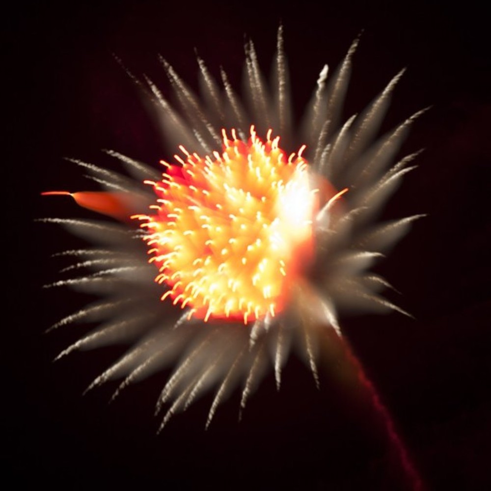 Meet your Posher, Betty